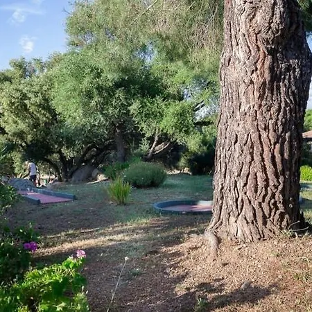 Apartment In Serra-Di-Ferro Near Cupabia Beach 세라 디 페로
